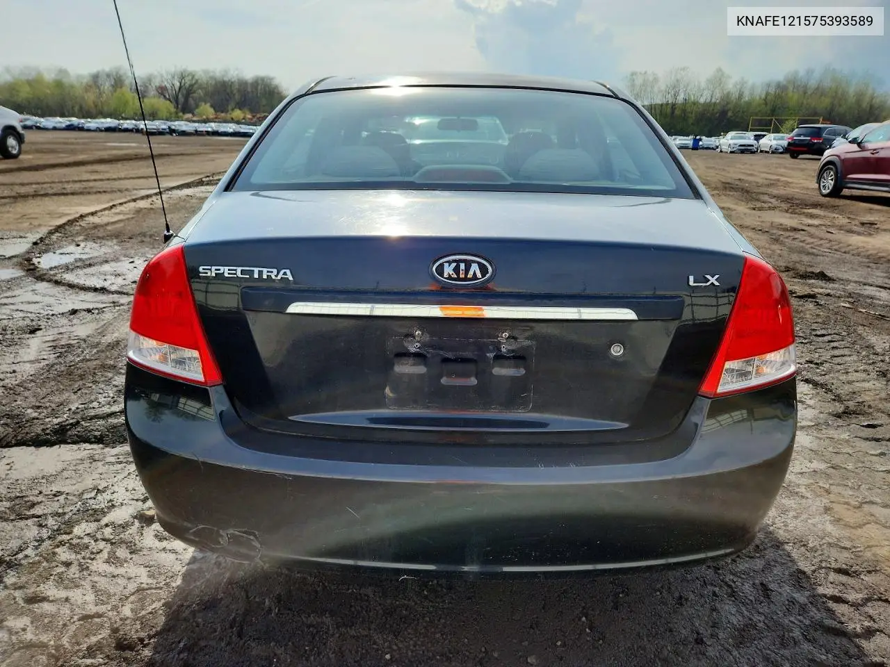 2007 Kia Spectra Lx VIN: KNAFE121575393589 Lot: 50302566