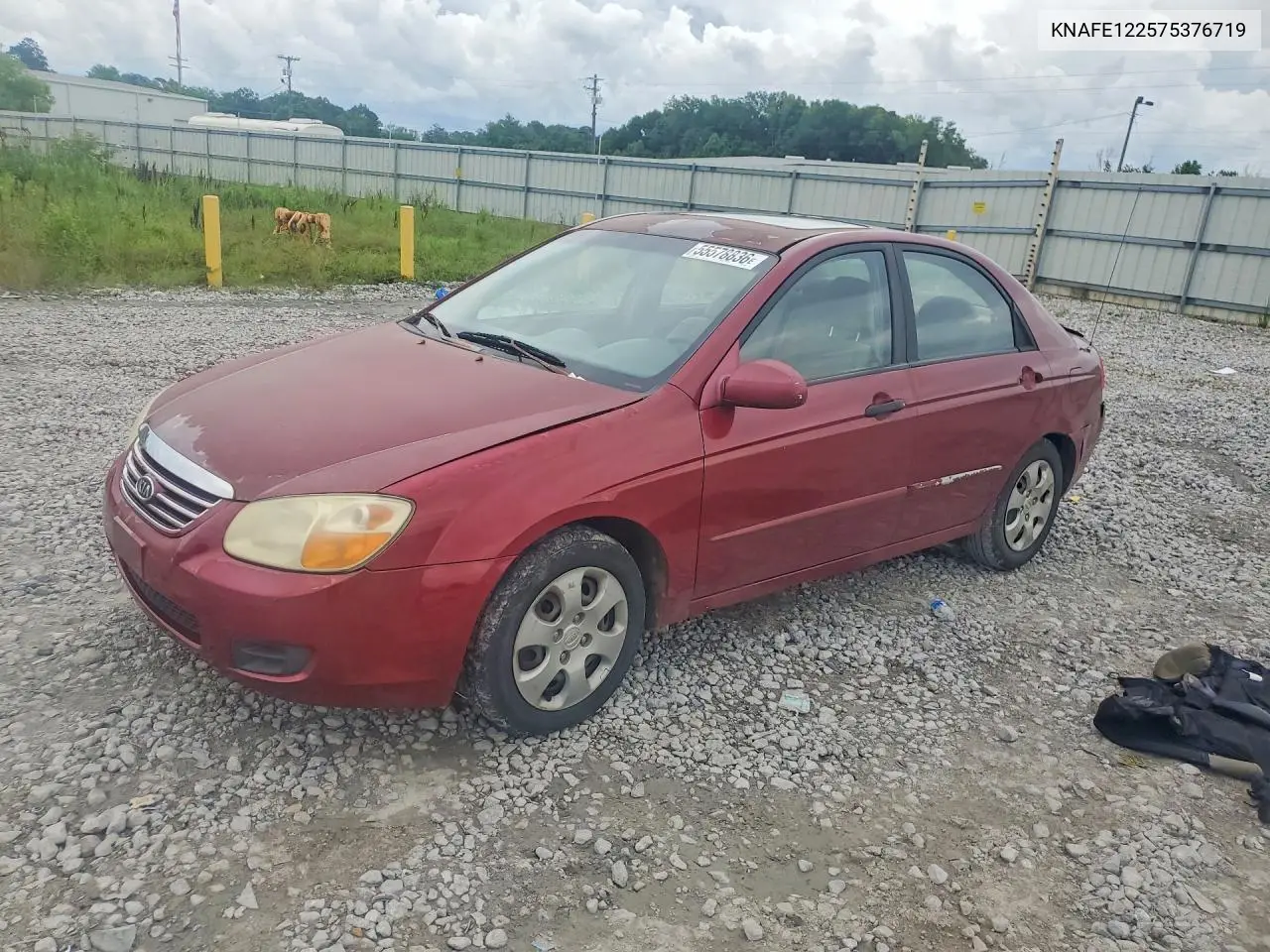 2007 Kia Spectra Lx VIN: KNAFE122575376719 Lot: 55578836