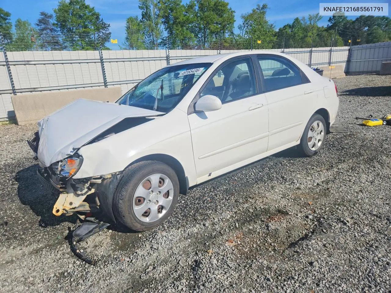 2008 Kia Spectra Lx VIN: KNAFE121685561791 Lot: 49165436