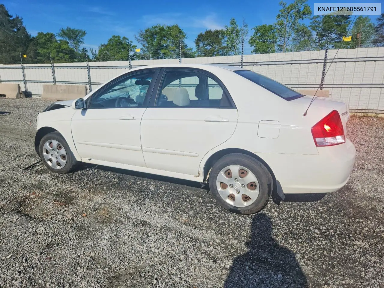 2008 Kia Spectra Lx VIN: KNAFE121685561791 Lot: 49165436