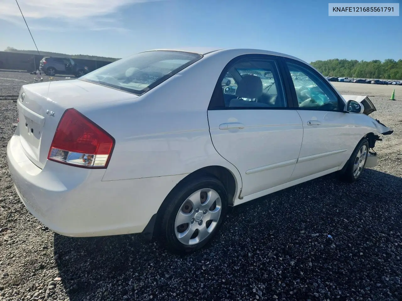 2008 Kia Spectra Lx VIN: KNAFE121685561791 Lot: 49165436