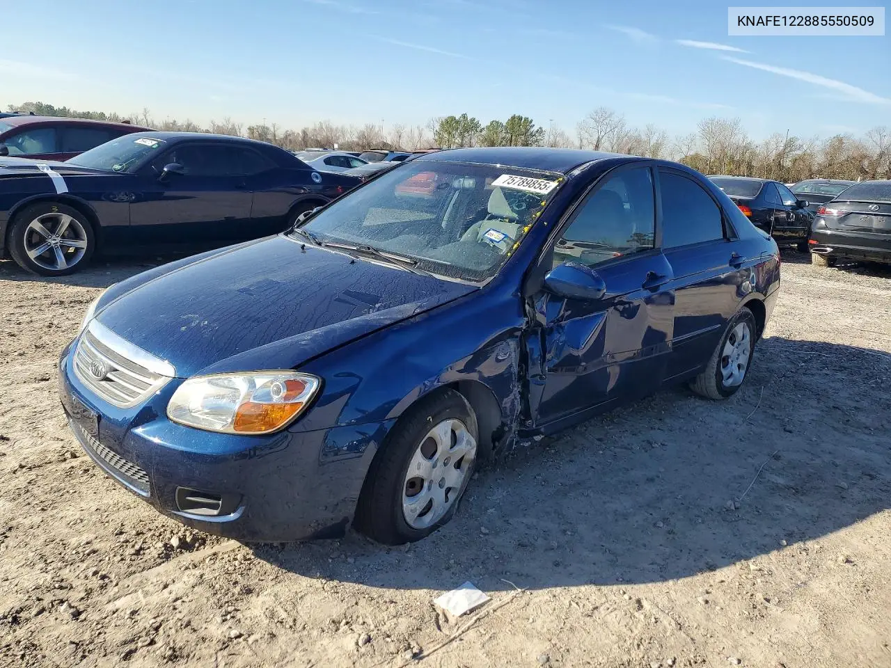 2008 Kia Spectra Lx VIN: KNAFE122885550509 Lot: 75789855