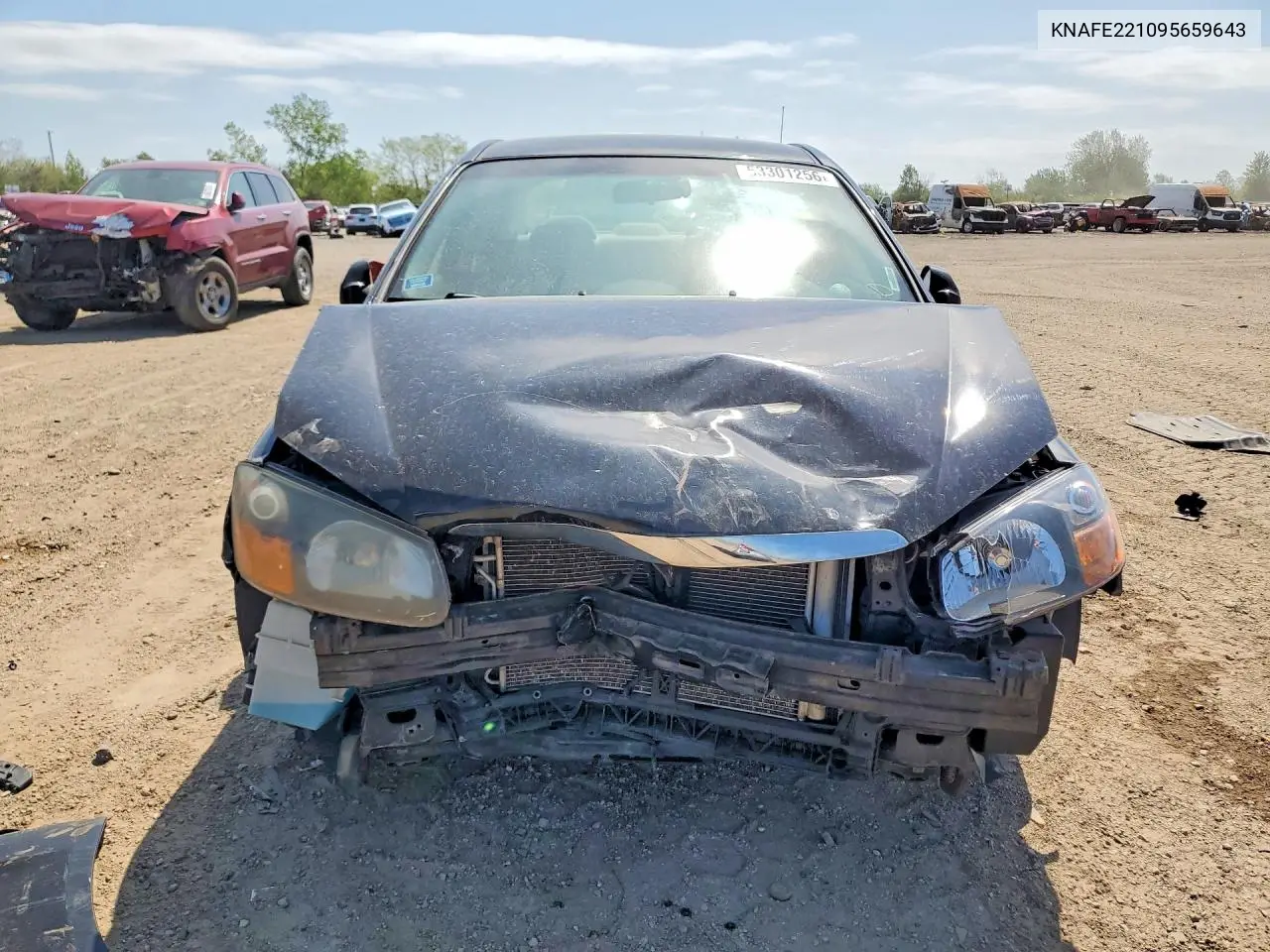 2009 Kia Spectra Lx VIN: KNAFE221095659643 Lot: 53301256