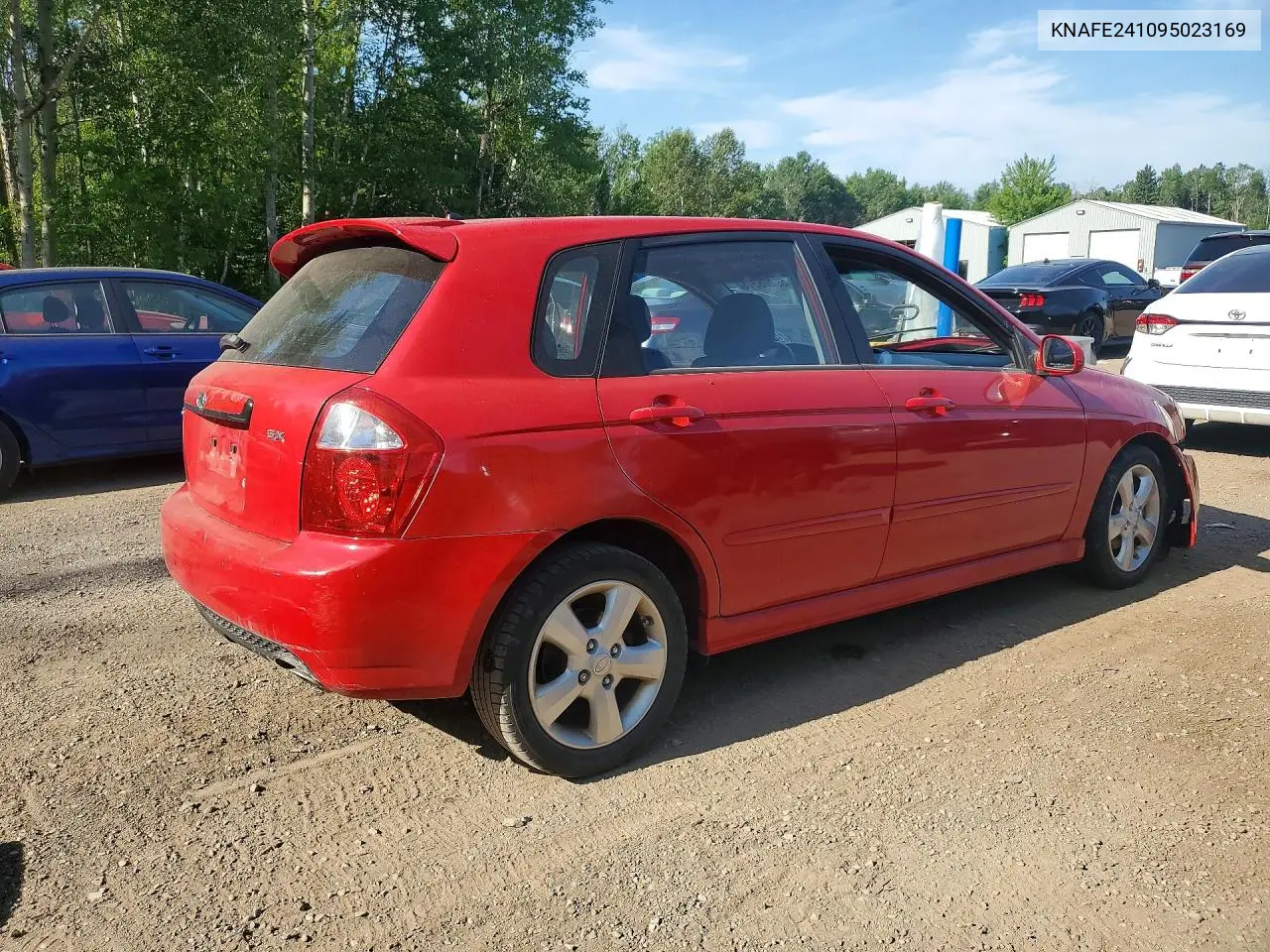2009 Kia Spectra Sx VIN: KNAFE241095023169 Lot: 59275316