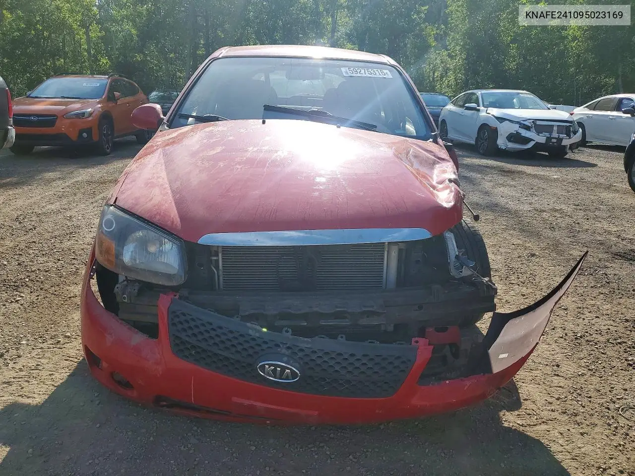 2009 Kia Spectra Sx VIN: KNAFE241095023169 Lot: 59275316