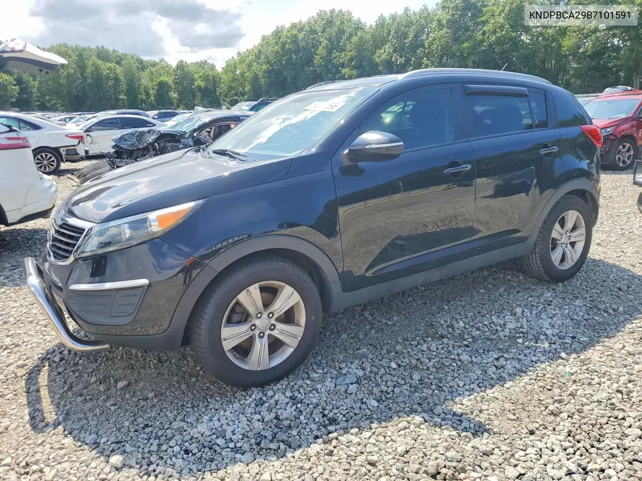 2011 Kia Sportage Lx VIN: KNDPBCA29B7101591 Lot: 62401596
