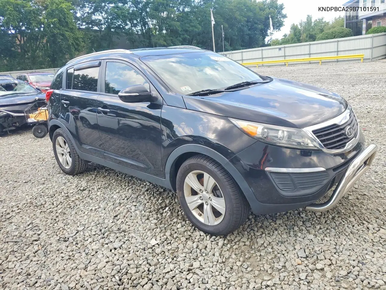 2011 Kia Sportage Lx VIN: KNDPBCA29B7101591 Lot: 62401596
