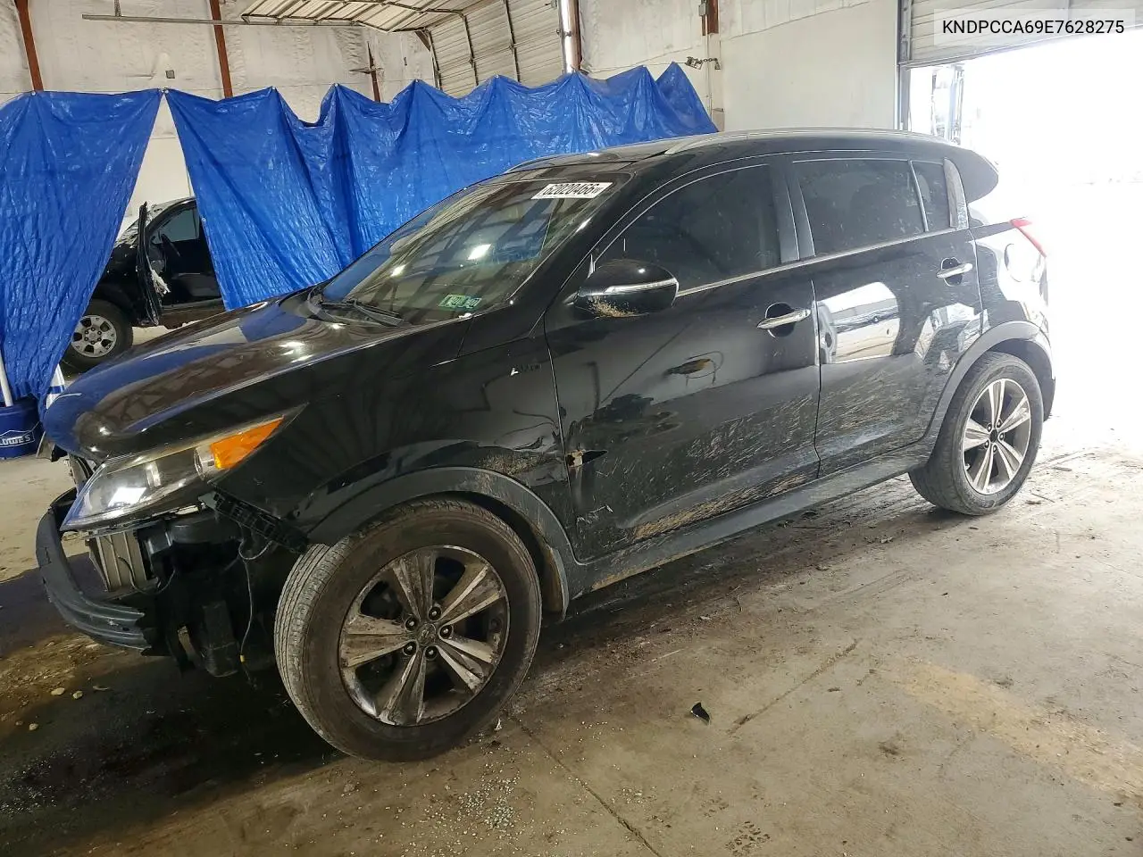 2014 Kia Sportage Sx VIN: KNDPCCA69E7628275 Lot: 62020466