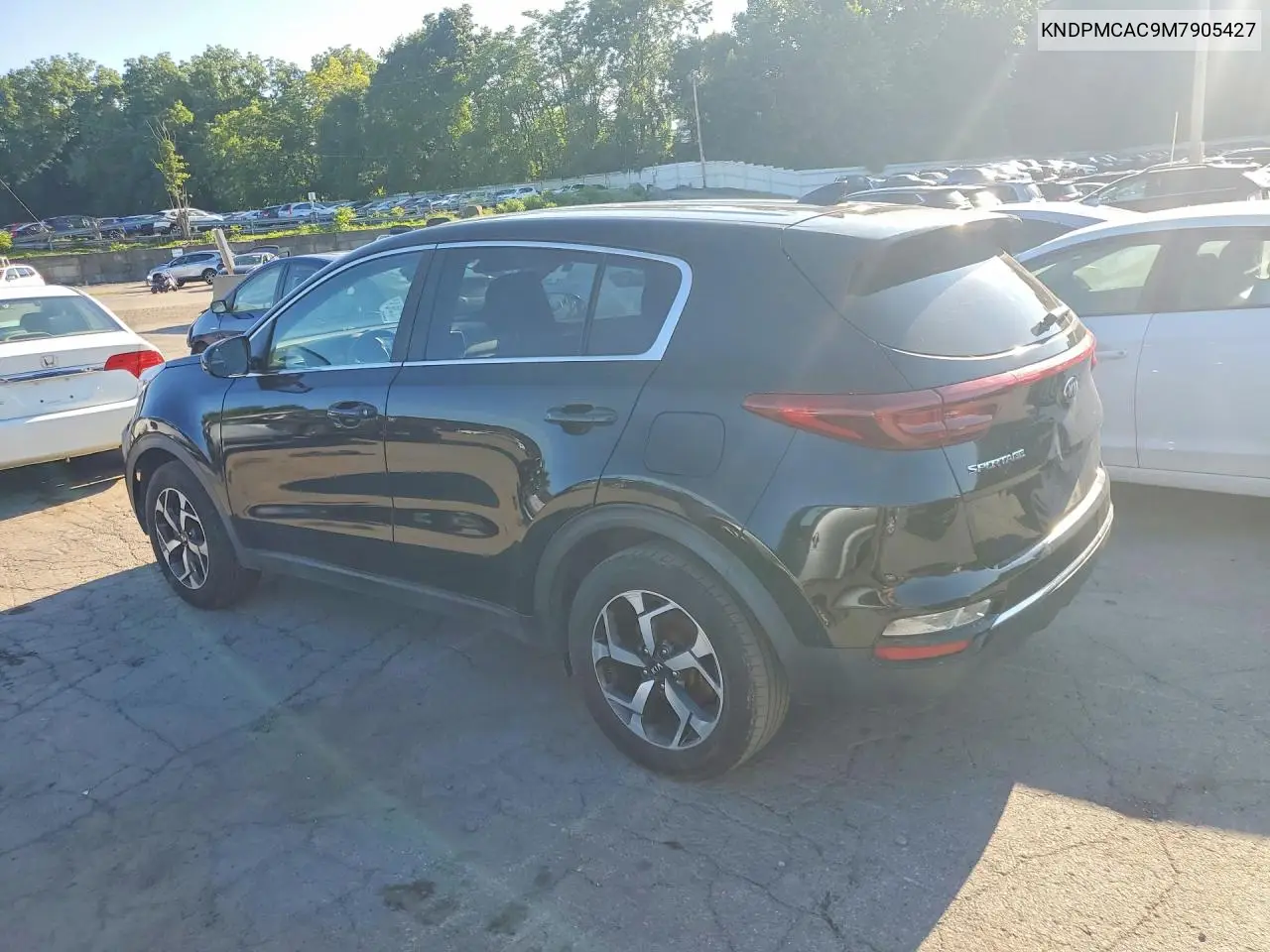 2021 Kia Sportage Lx VIN: KNDPMCAC9M7905427 Lot: 61233126