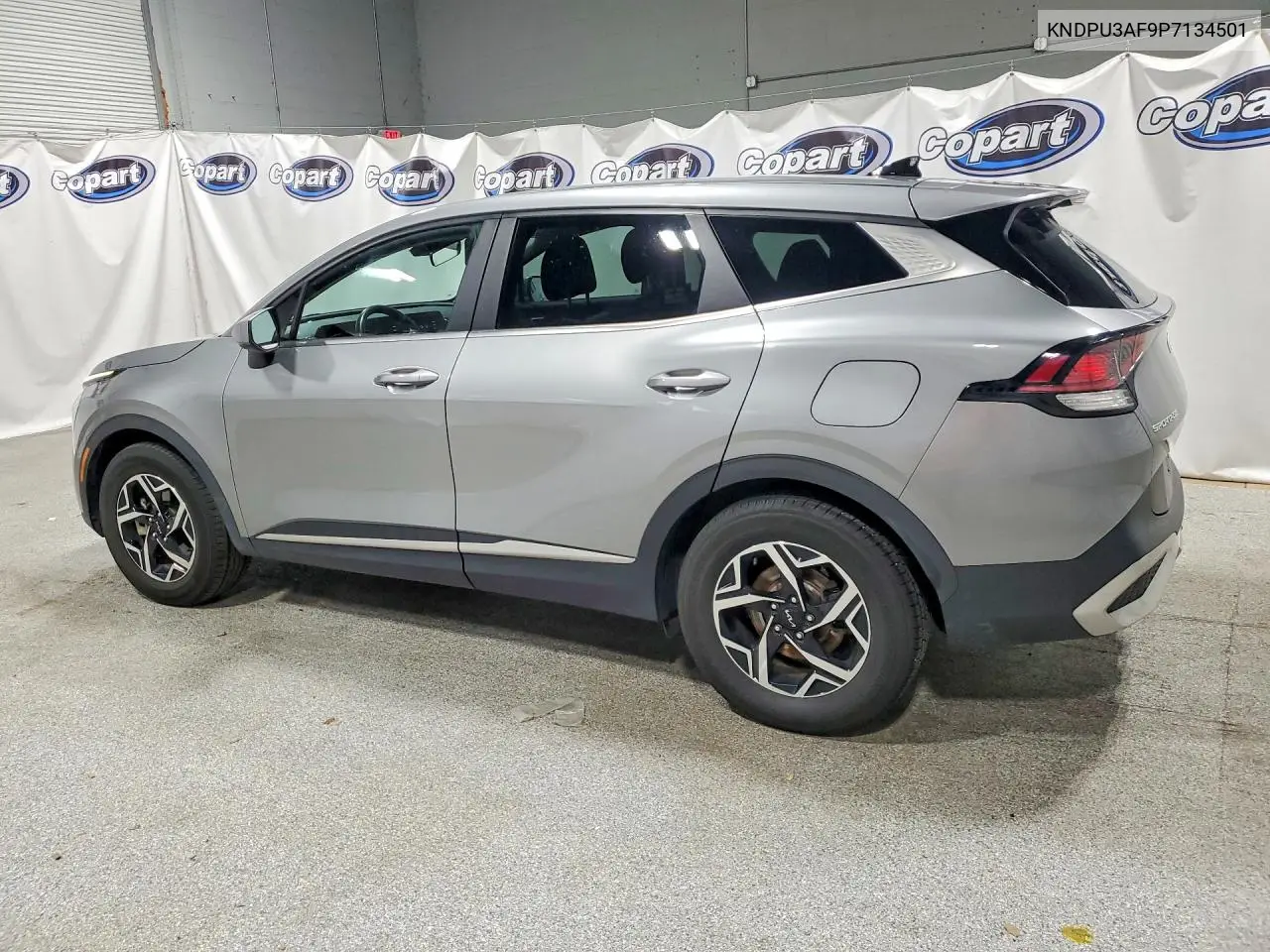 2023 Kia Sportage Lx VIN: KNDPU3AF9P7134501 Lot: 59872246