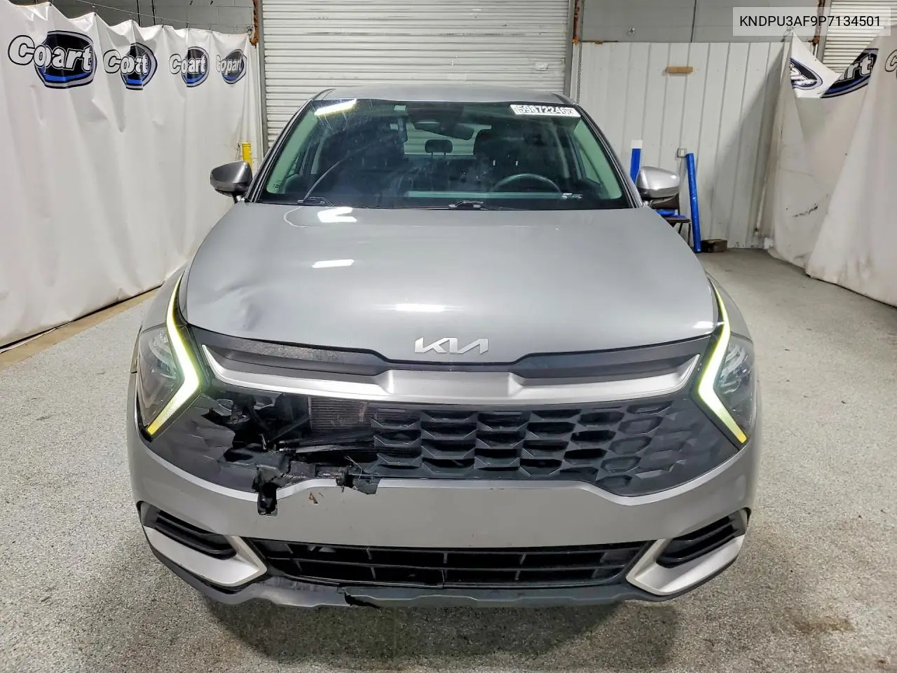 2023 Kia Sportage Lx VIN: KNDPU3AF9P7134501 Lot: 59872246