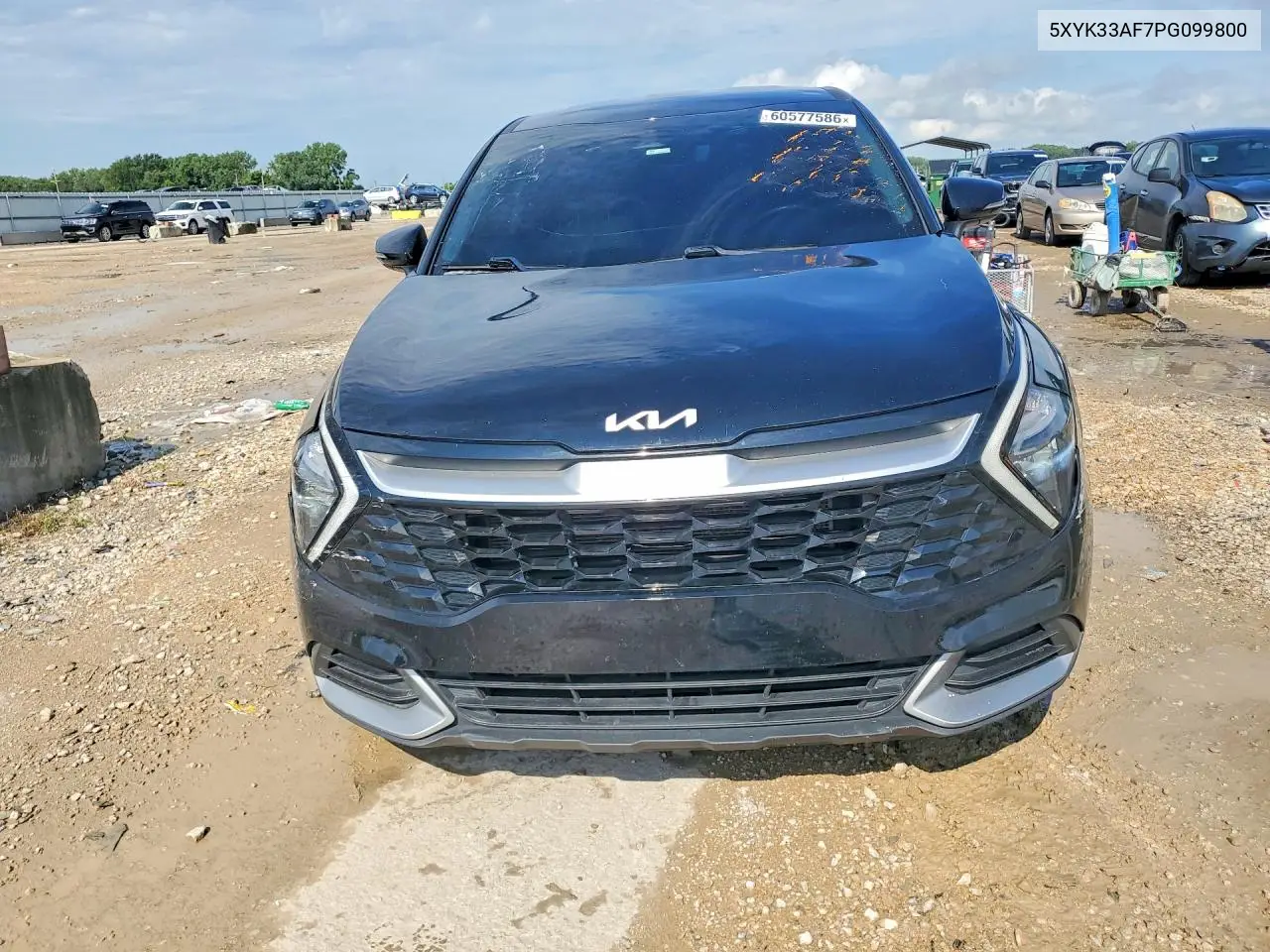 2023 Kia Sportage Ex VIN: 5XYK33AF7PG099800 Lot: 60577586