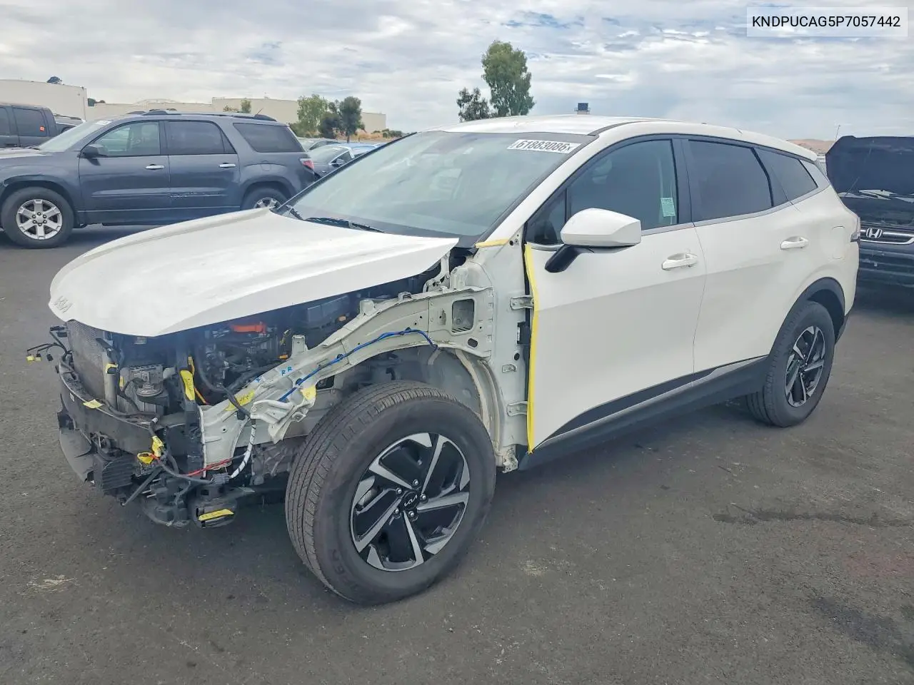 2023 Kia Sportage Lx VIN: KNDPUCAG5P7057442 Lot: 61883086