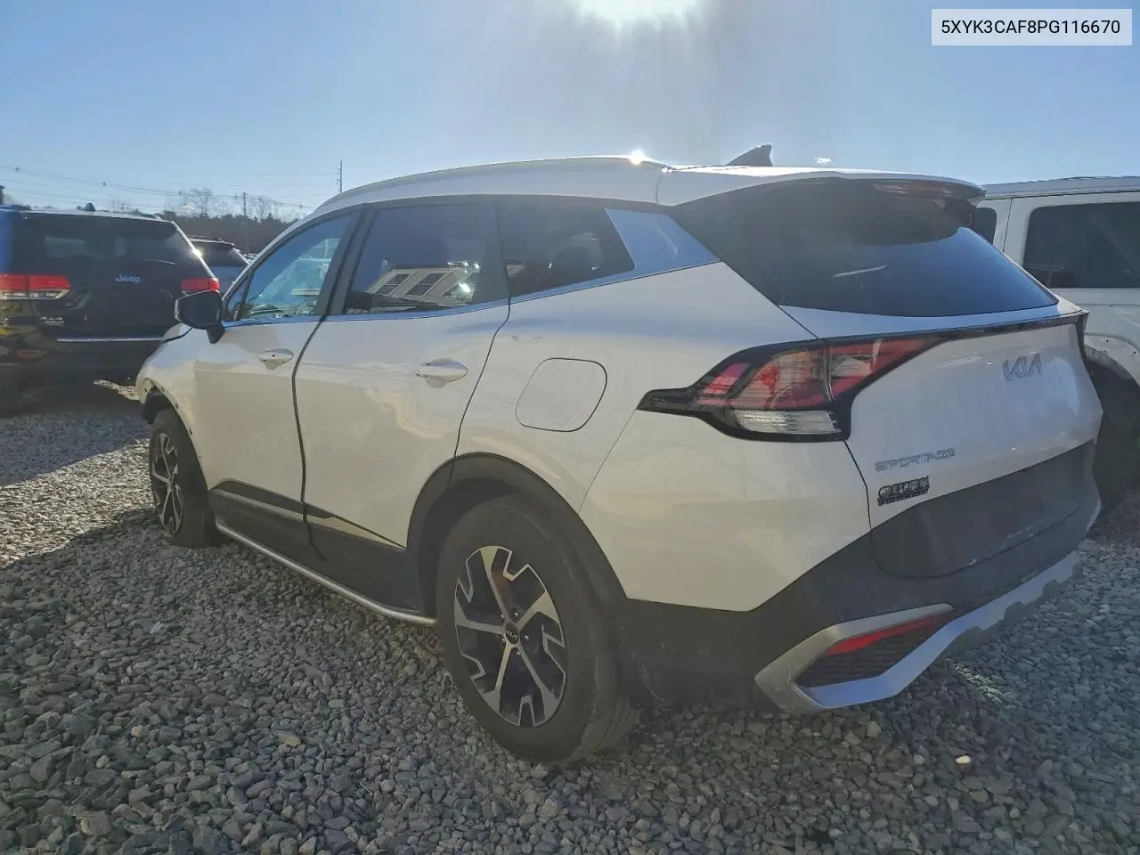 5XYK3CAF8PG116670 2023 Kia Sportage Ex