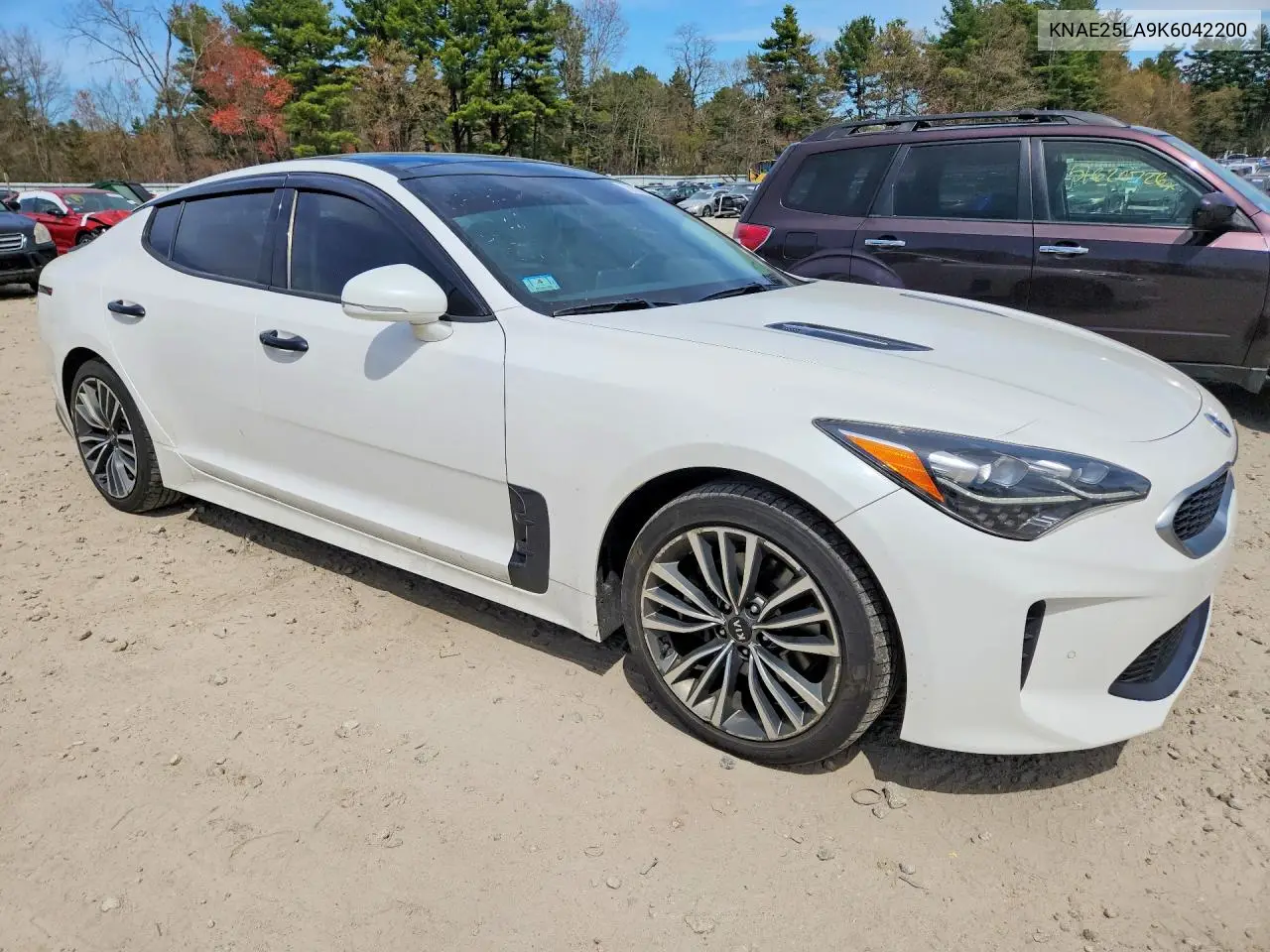2019 Kia Stinger Premium VIN: KNAE25LA9K6042200 Lot: 51011336
