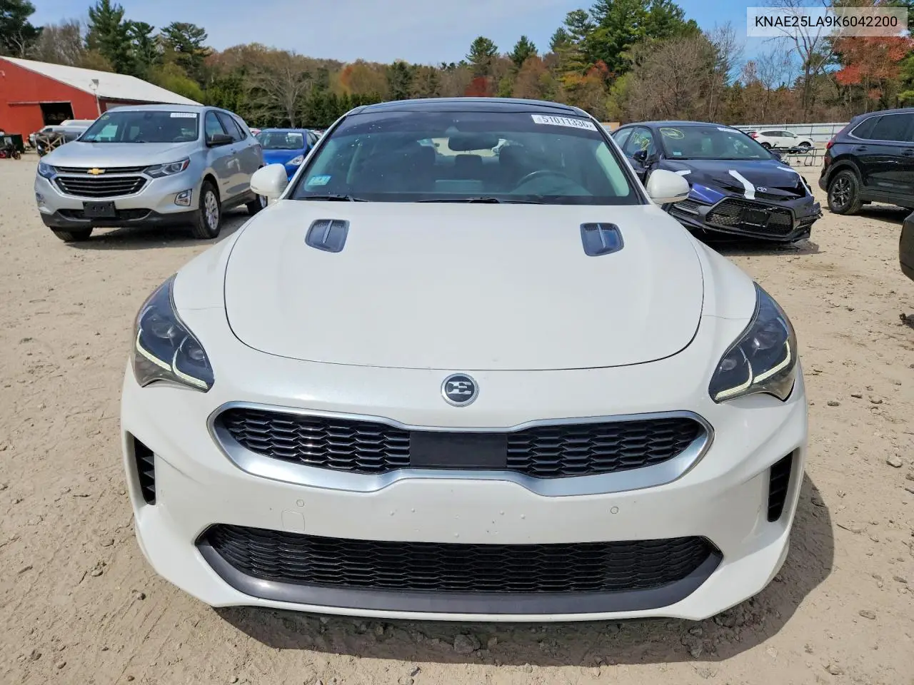 2019 Kia Stinger Premium VIN: KNAE25LA9K6042200 Lot: 51011336