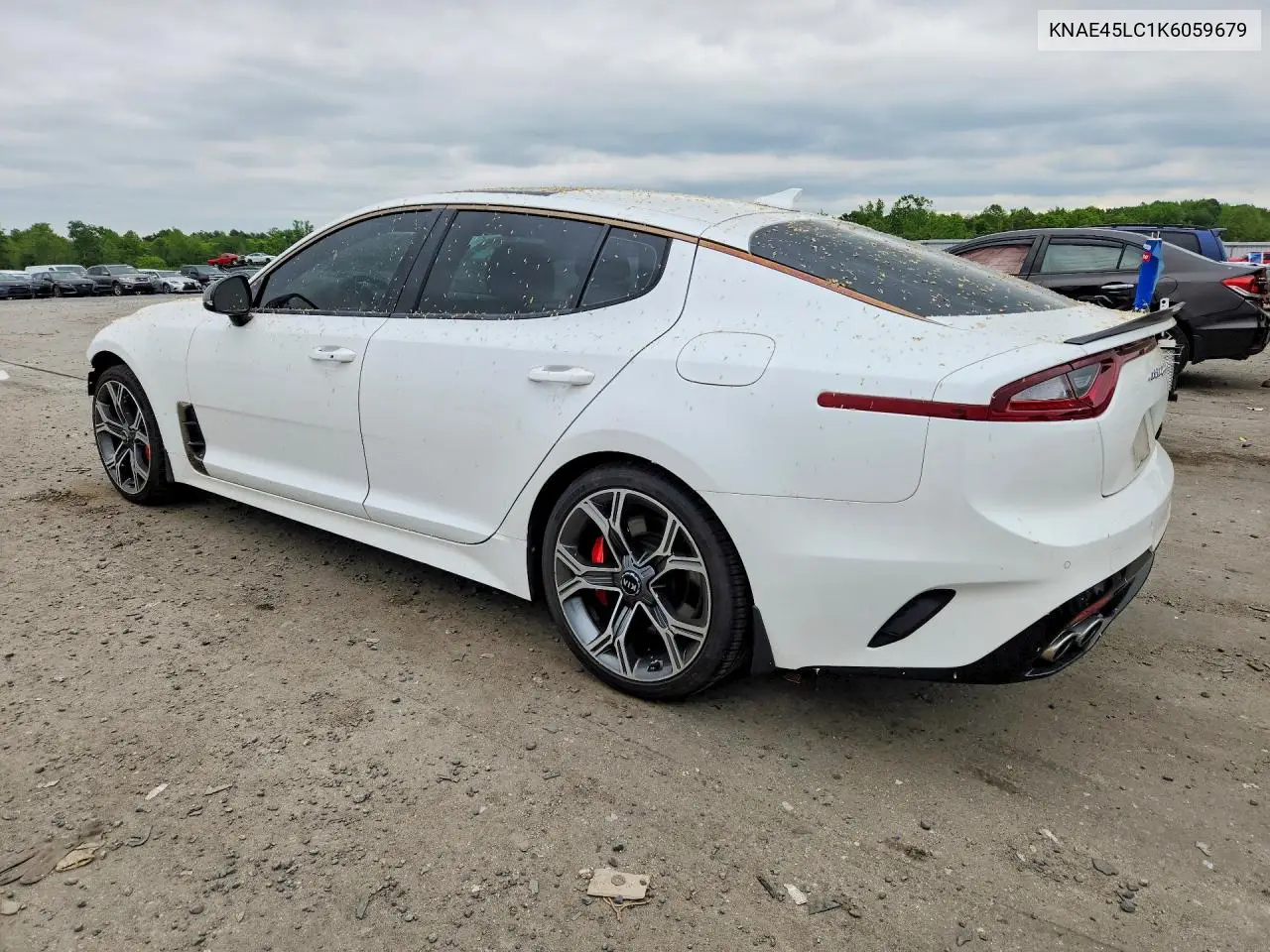 2019 Kia Stinger Gt1 VIN: KNAE45LC1K6059679 Lot: 51464926