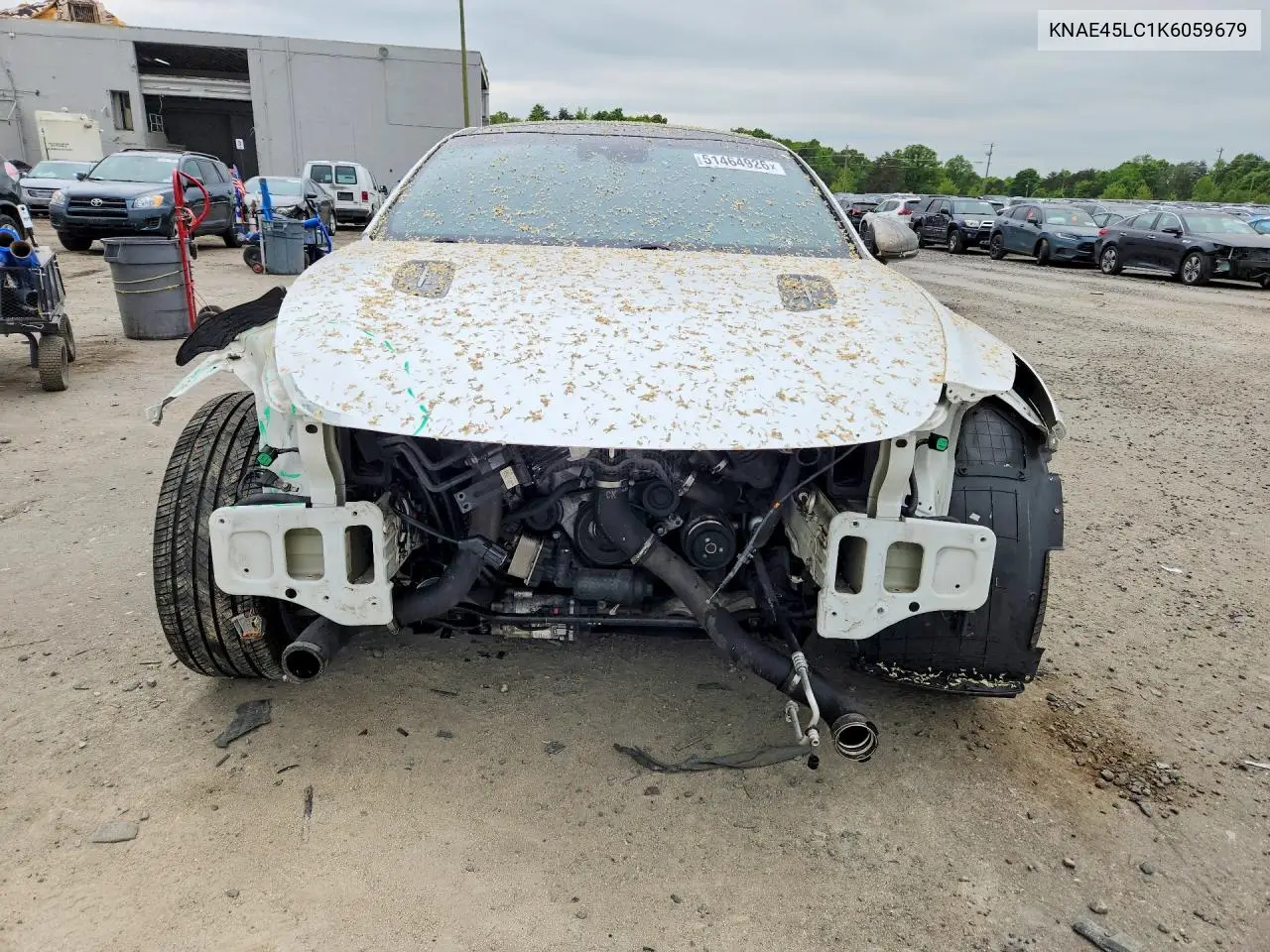 2019 Kia Stinger Gt1 VIN: KNAE45LC1K6059679 Lot: 51464926