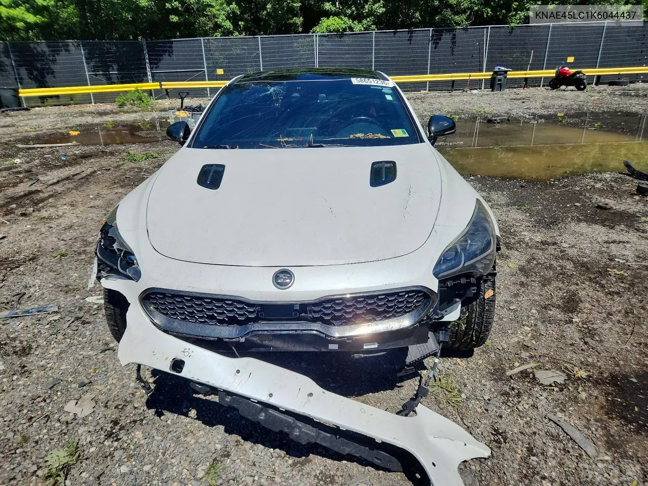 2019 Kia Stinger Gt1 VIN: KNAE45LC1K6044437 Lot: 58651236