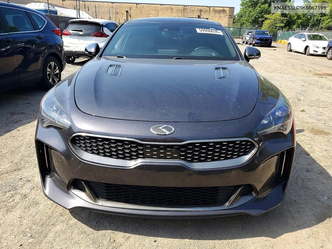 2019 Kia Stinger Gt2 VIN: KNAE55LC9K6067199 Lot: 59906636