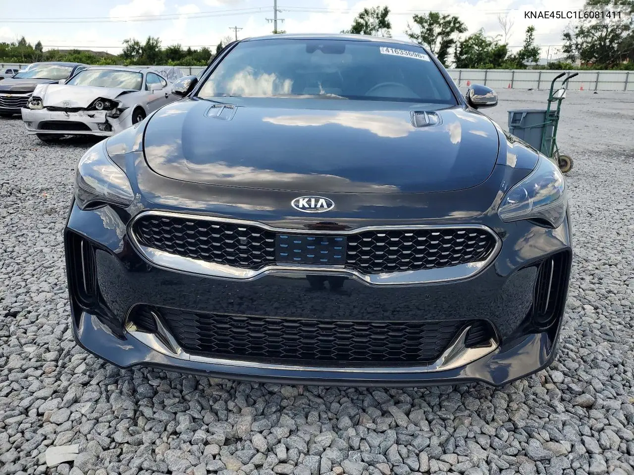 2020 Kia Stinger Gt1 VIN: KNAE45LC1L6081411 Lot: 41633696