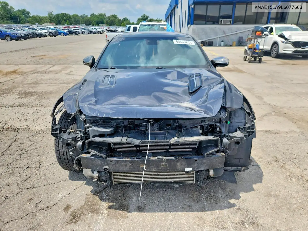 2020 Kia Stinger Gt-Line VIN: KNAE15LA9L6077663 Lot: 60635266