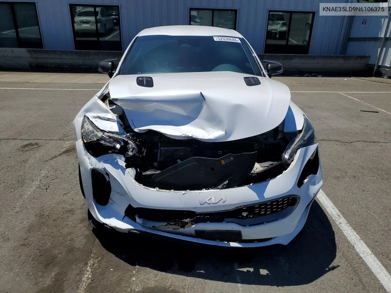 2022 Kia Stinger Gt Line VIN: KNAE35LD9N6106375 Lot: 52030686