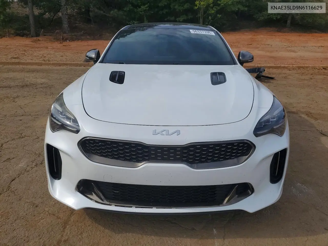 2022 Kia Stinger Gt Line VIN: KNAE35LD9N6116629 Lot: 56337336
