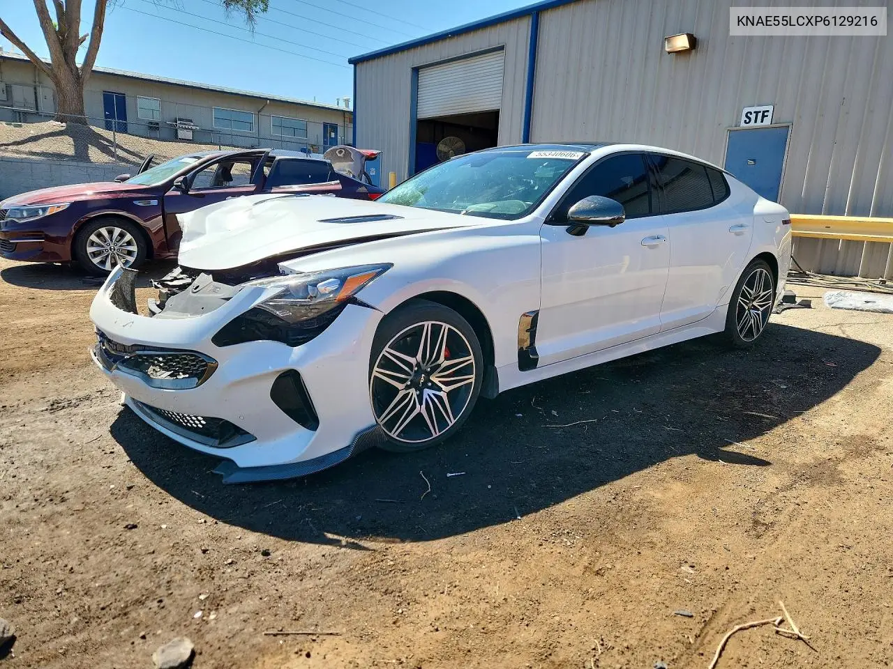 2023 Kia Stinger Gt2 VIN: KNAE55LCXP6129216 Lot: 55340606