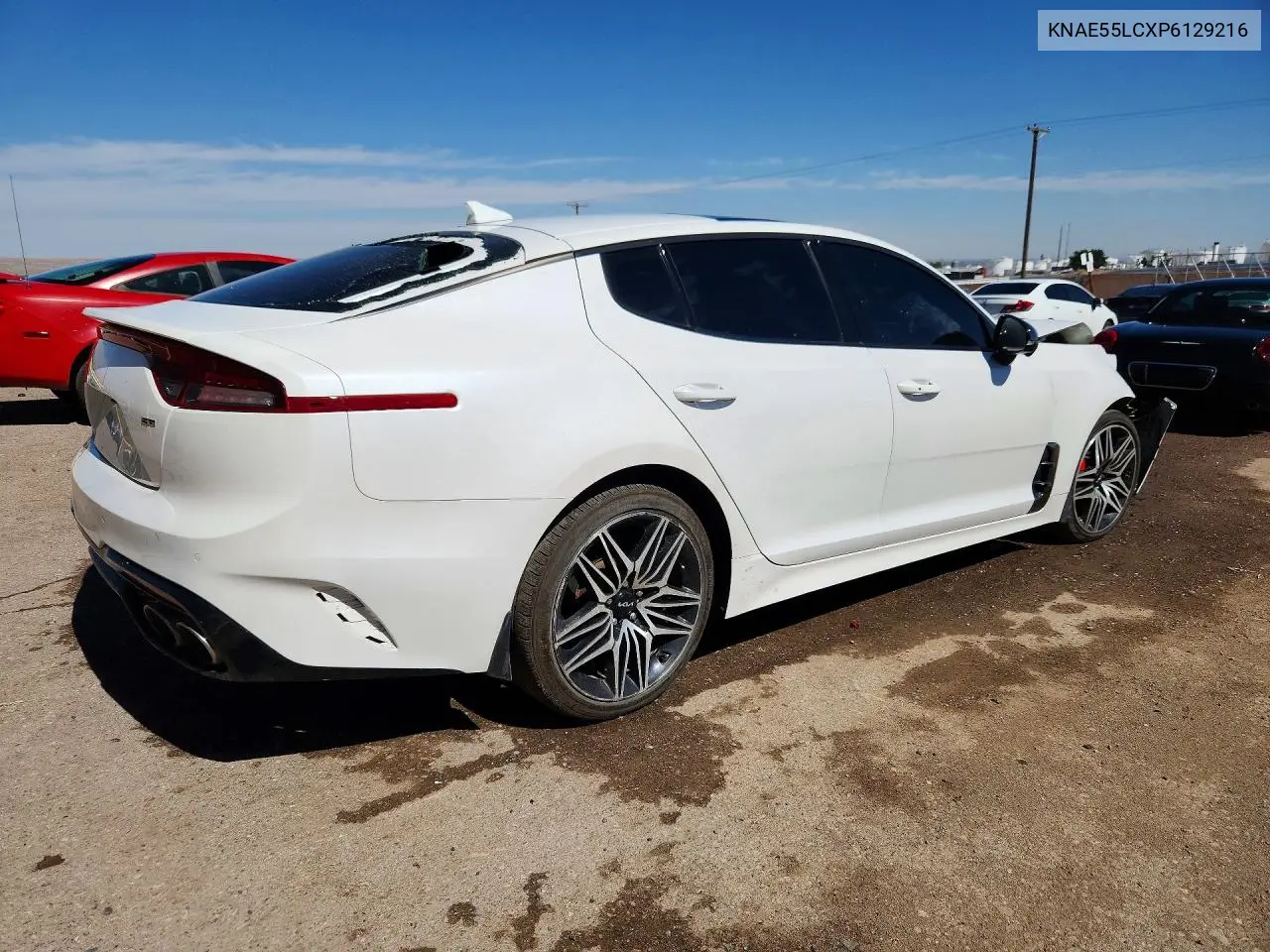2023 Kia Stinger Gt2 VIN: KNAE55LCXP6129216 Lot: 55340606