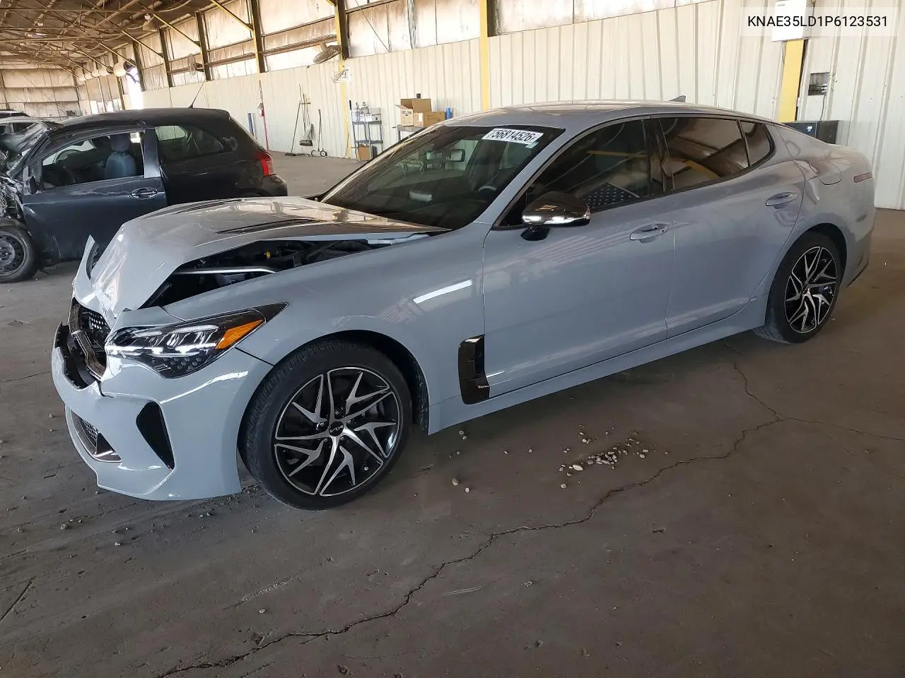 2023 Kia Stinger Gt Line VIN: KNAE35LD1P6123531 Lot: 56814526