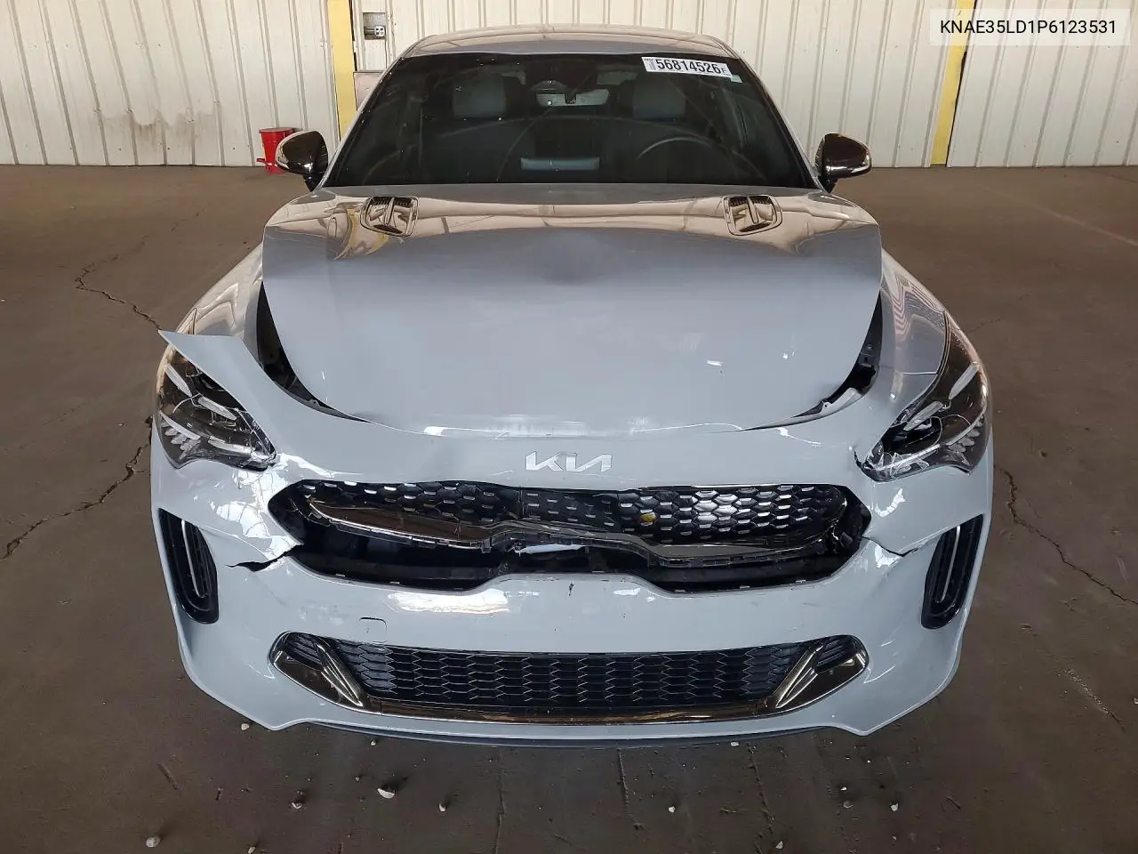 2023 Kia Stinger Gt Line VIN: KNAE35LD1P6123531 Lot: 56814526