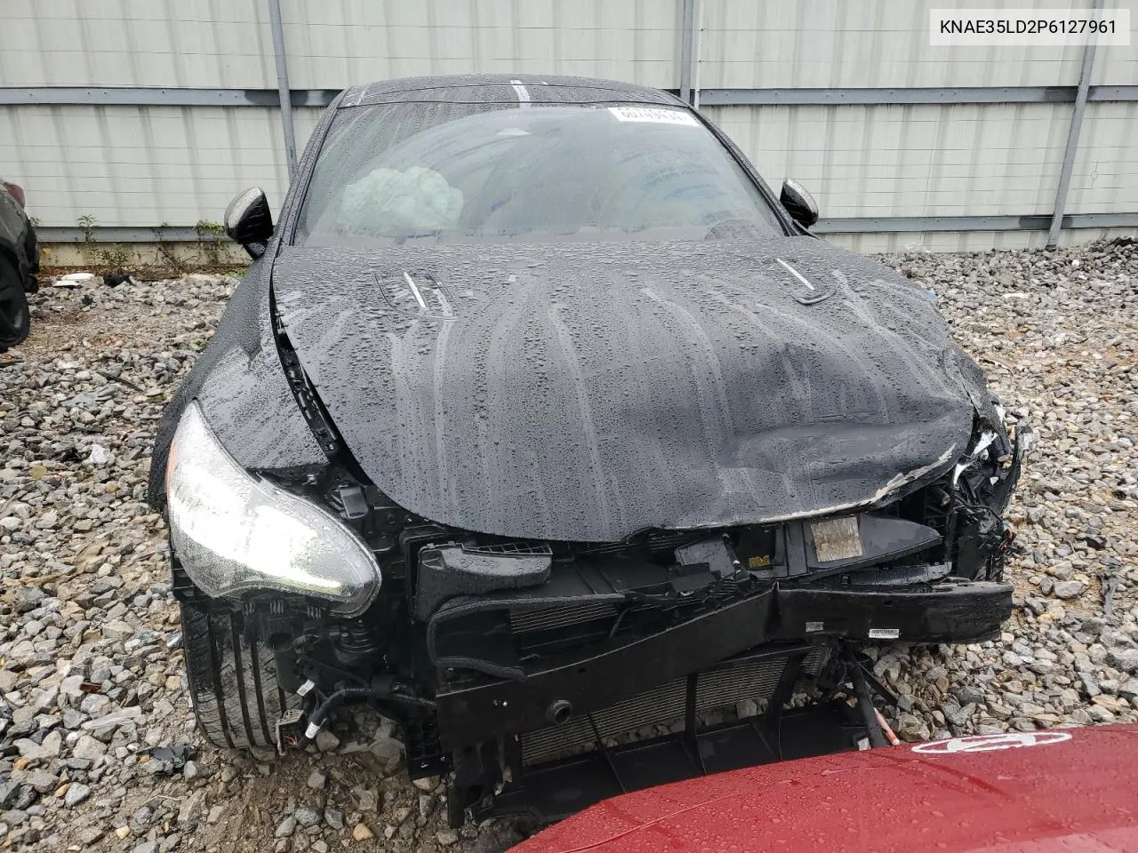 2023 Kia Stinger Gt Line VIN: KNAE35LD2P6127961 Lot: 80749494