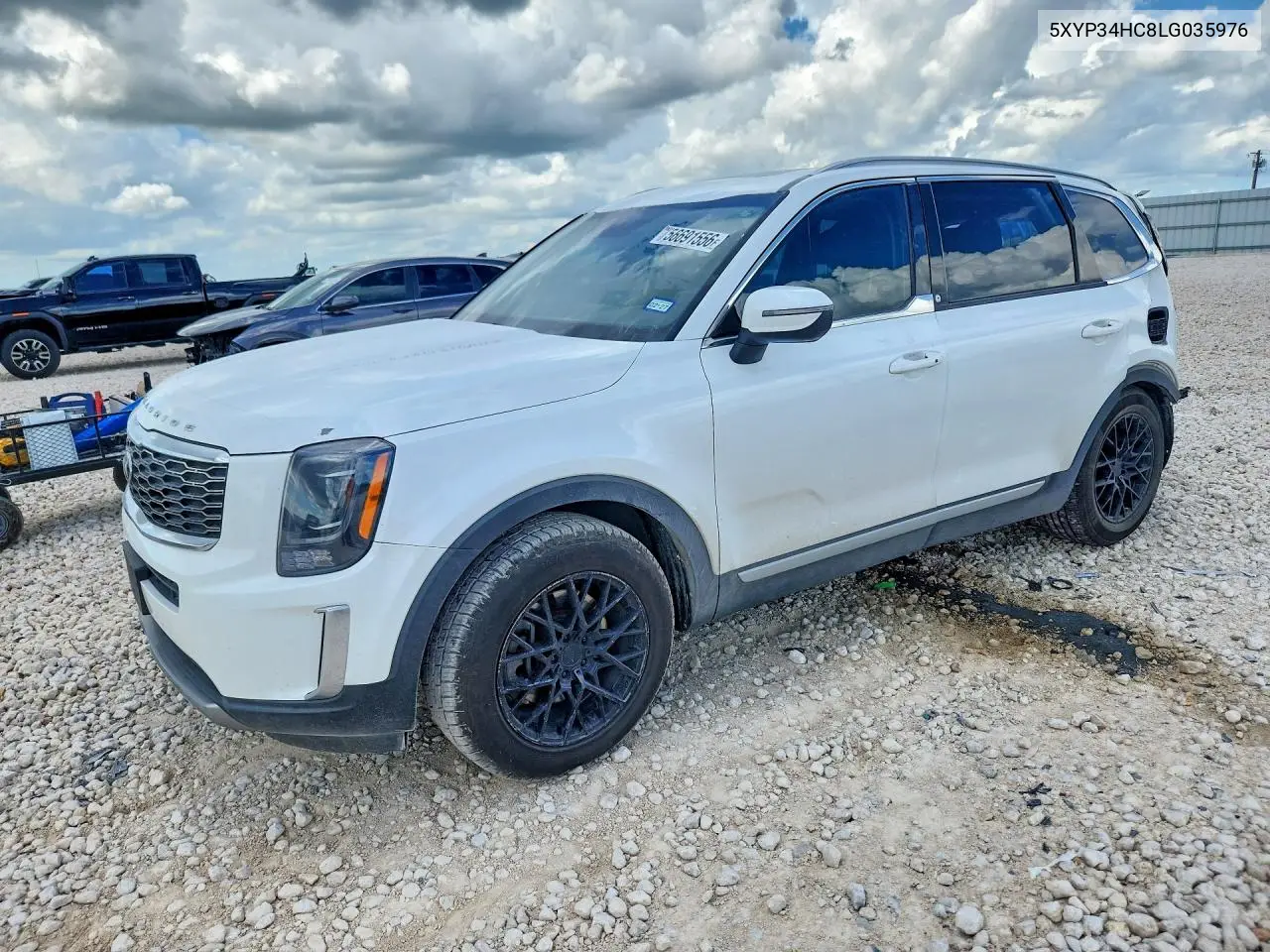 2020 Kia Telluride Ex VIN: 5XYP34HC8LG035976 Lot: 56691556