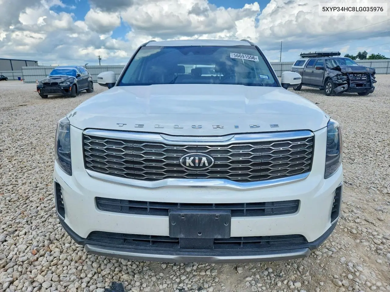 2020 Kia Telluride Ex VIN: 5XYP34HC8LG035976 Lot: 56691556