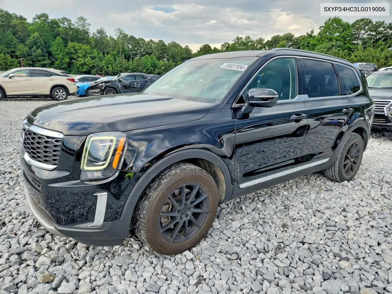 2020 Kia Telluride Ex VIN: 5XYP34HC3LG019006 Lot: 58937956