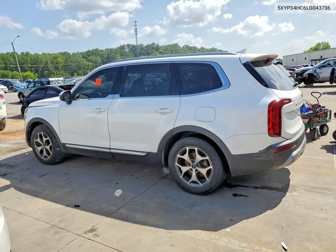 2020 Kia Telluride Ex VIN: 5XYP34HC6LG043736 Lot: 59234916