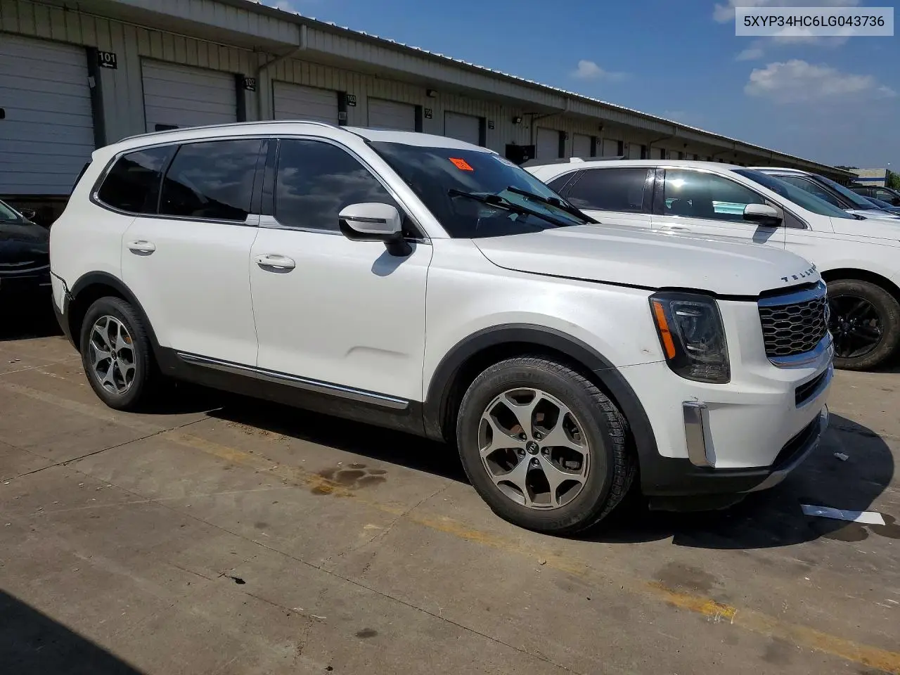 2020 Kia Telluride Ex VIN: 5XYP34HC6LG043736 Lot: 59234916