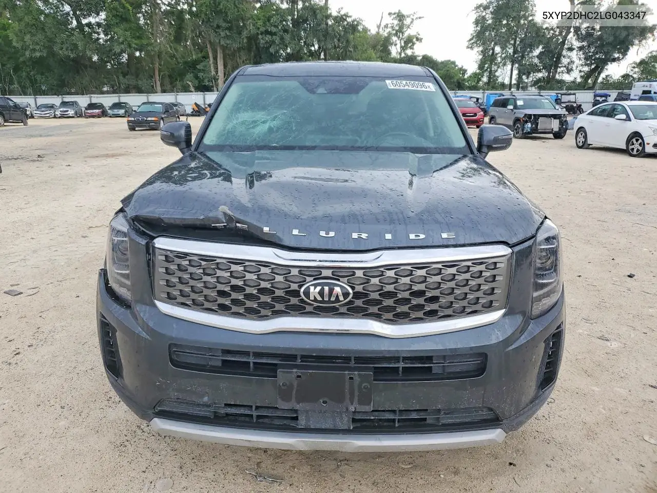 2020 Kia Telluride Lx VIN: 5XYP2DHC2LG043347 Lot: 60549096