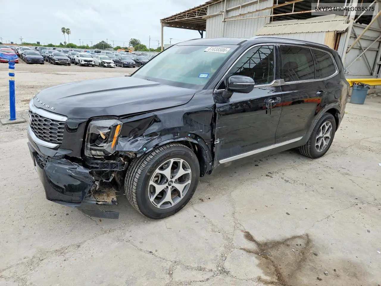 2020 Kia Telluride Ex VIN: 5XYP34HC4LG035375 Lot: 61038506