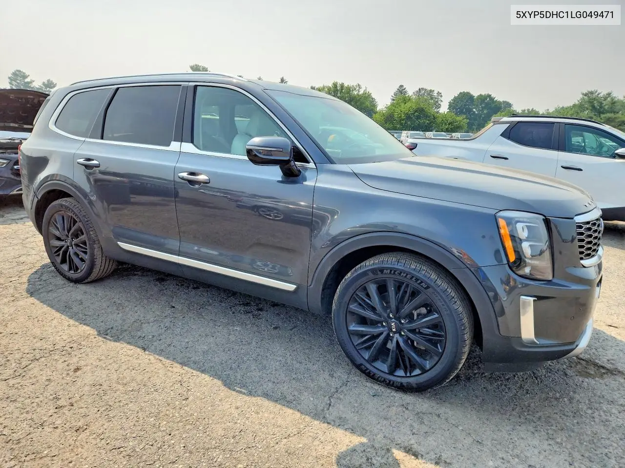 2020 Kia Telluride Sx VIN: 5XYP5DHC1LG049471 Lot: 61142506