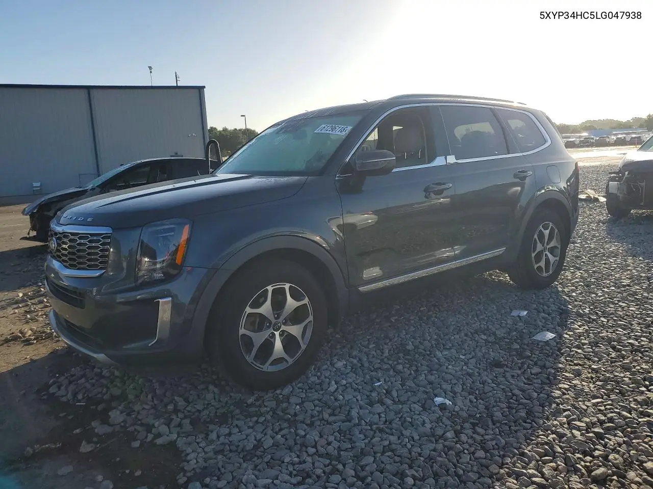2020 Kia Telluride Ex VIN: 5XYP34HC5LG047938 Lot: 61296116