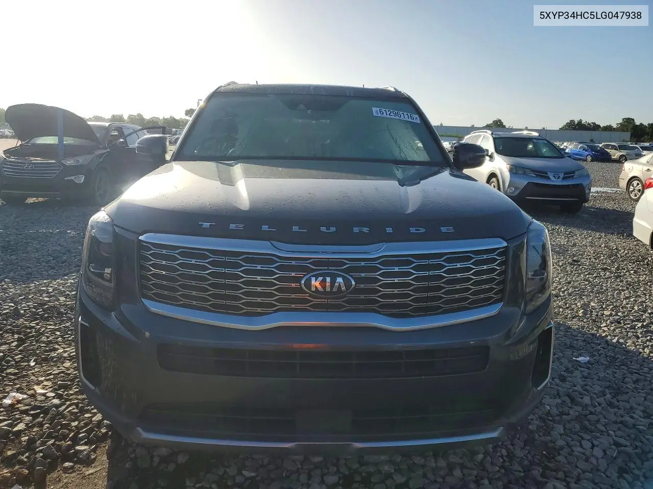 2020 Kia Telluride Ex VIN: 5XYP34HC5LG047938 Lot: 61296116