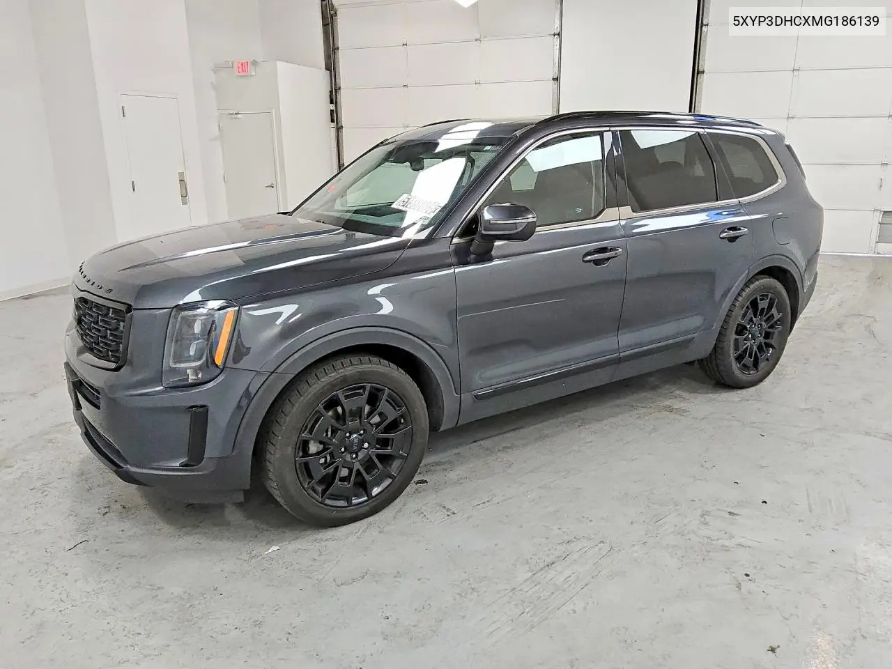 2021 Kia Telluride Ex VIN: 5XYP3DHCXMG186139 Lot: 51558006