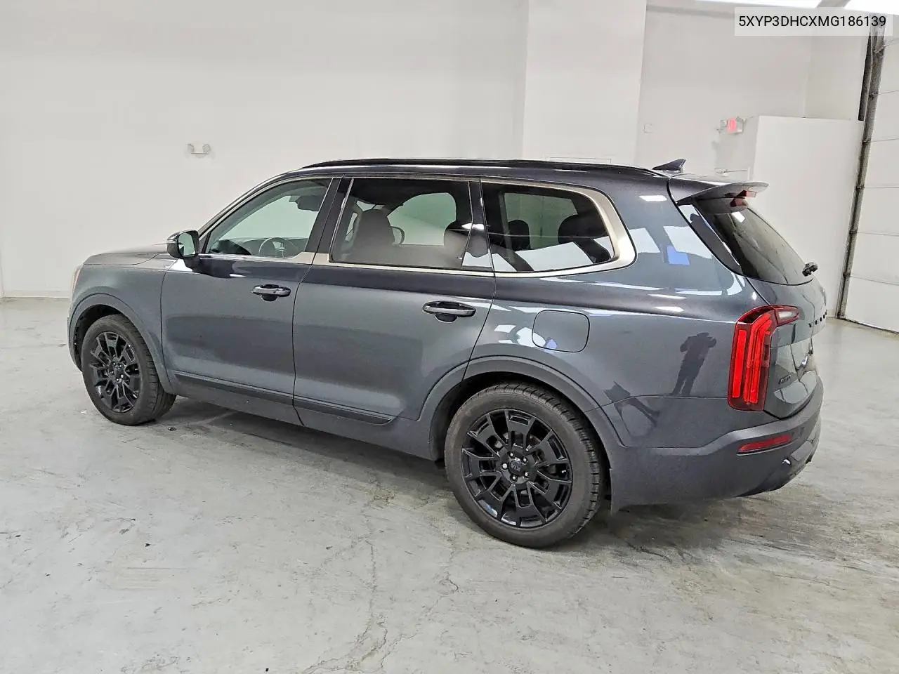 2021 Kia Telluride Ex VIN: 5XYP3DHCXMG186139 Lot: 51558006