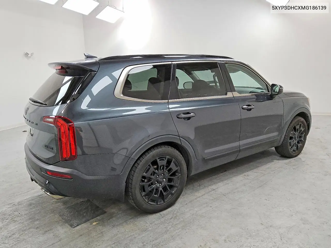 2021 Kia Telluride Ex VIN: 5XYP3DHCXMG186139 Lot: 51558006