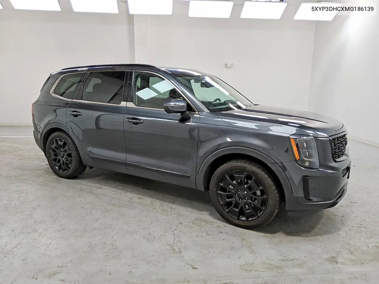 2021 Kia Telluride Ex VIN: 5XYP3DHCXMG186139 Lot: 51558006