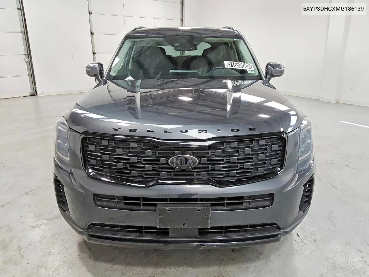2021 Kia Telluride Ex VIN: 5XYP3DHCXMG186139 Lot: 51558006