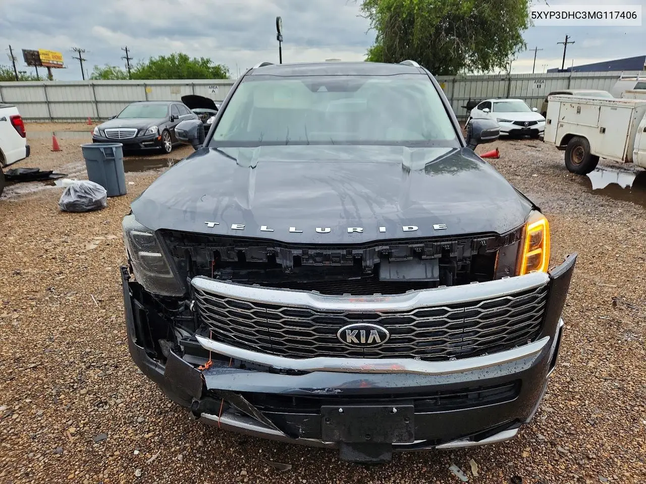 2021 Kia Telluride Ex VIN: 5XYP3DHC3MG117406 Lot: 55000946