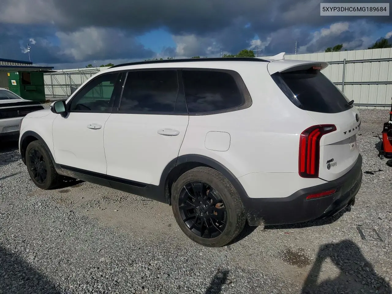 2021 Kia Telluride Ex VIN: 5XYP3DHC6MG189684 Lot: 56479676
